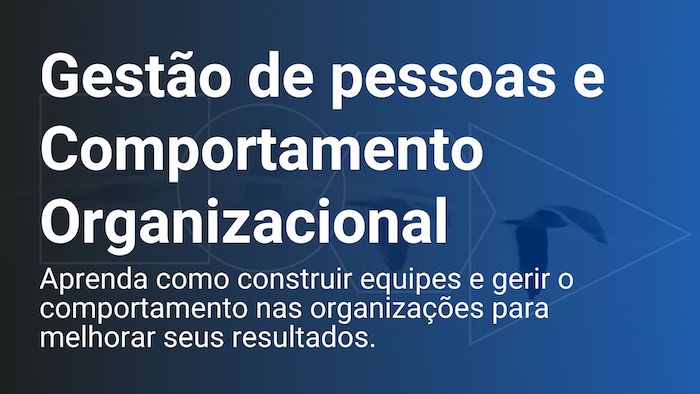 Curso: Gestão De Pessoas E Comportamento Organizacional - RH Academy